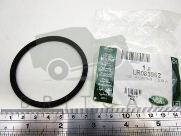 O - Ring gumica na EGR ventilu