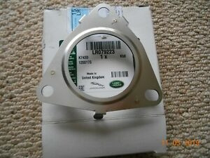 Dihtung auspuha desni